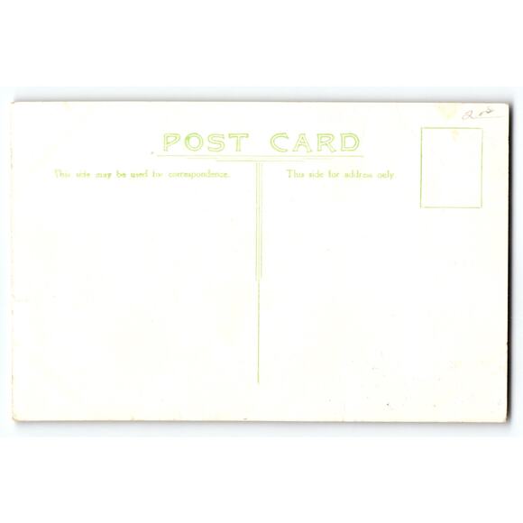 Vintage Pare Keil Budgerigar Bird Lithograph Postcard Europe - Picture 2 of 2